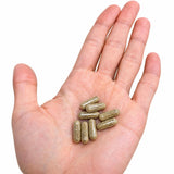 BTGIN Korean Red Ginseng Powder product details