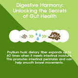 BTGIN Psyllium Husk Granules in a lifestyle setting