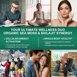 Bualle Organic Sea Moss & Shilajit Capsules on a wooden table