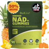 BudLive NAD+ Resveratrol Gummies bottle front view with pineapple flavour