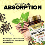 Built by Nature Ashwagandha 2100mg capsules with packaging