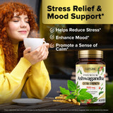 Built by Nature Ashwagandha capsules displayed with herbs