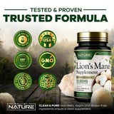 Built by Nature Lion’s Mane Mushroom Supplement with measuring spoon