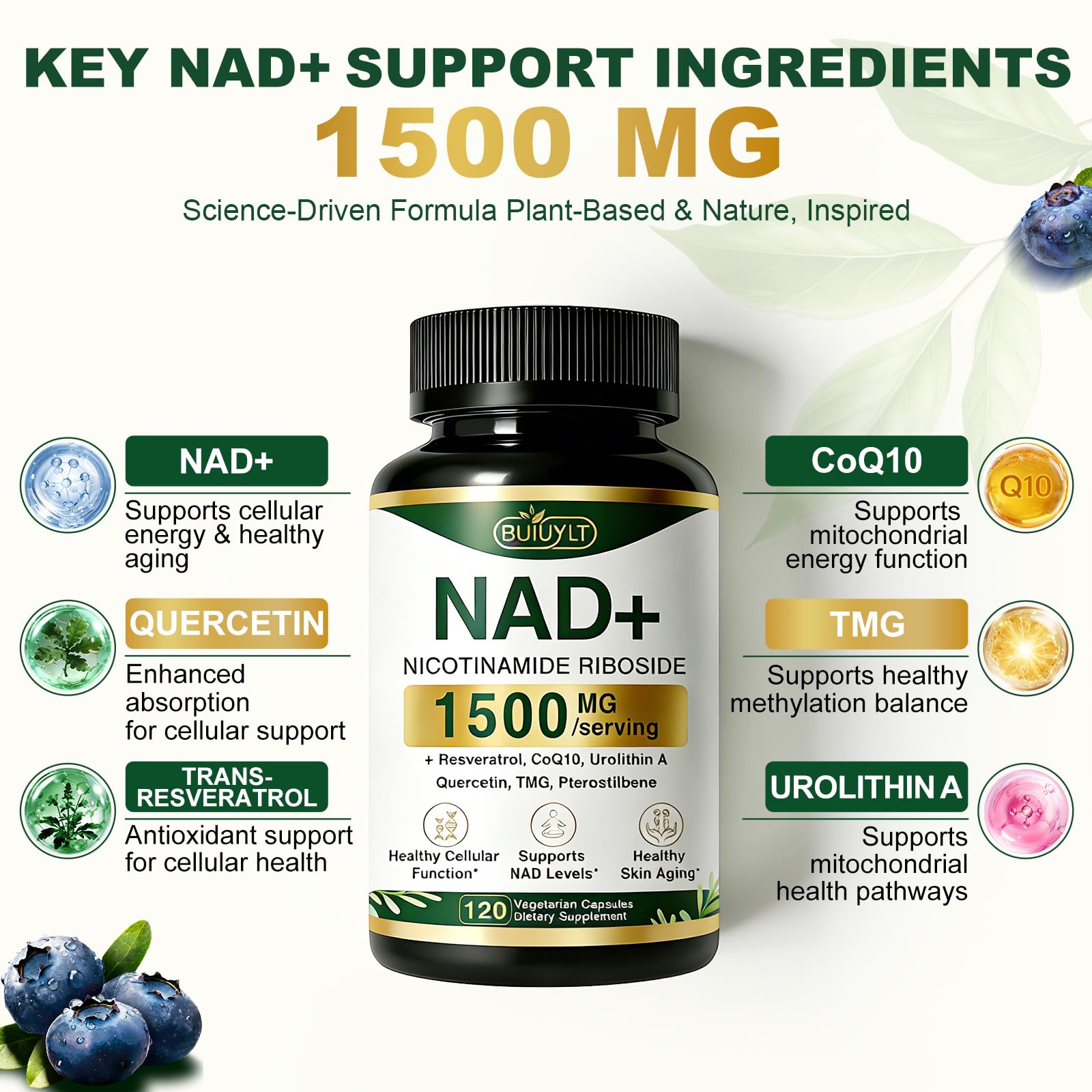 BUIUYLT Liposomal NAD+ Supplement bottle side view