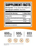 BulkSupplements Alpha GPC Powder 300mg side view showing nutritional information