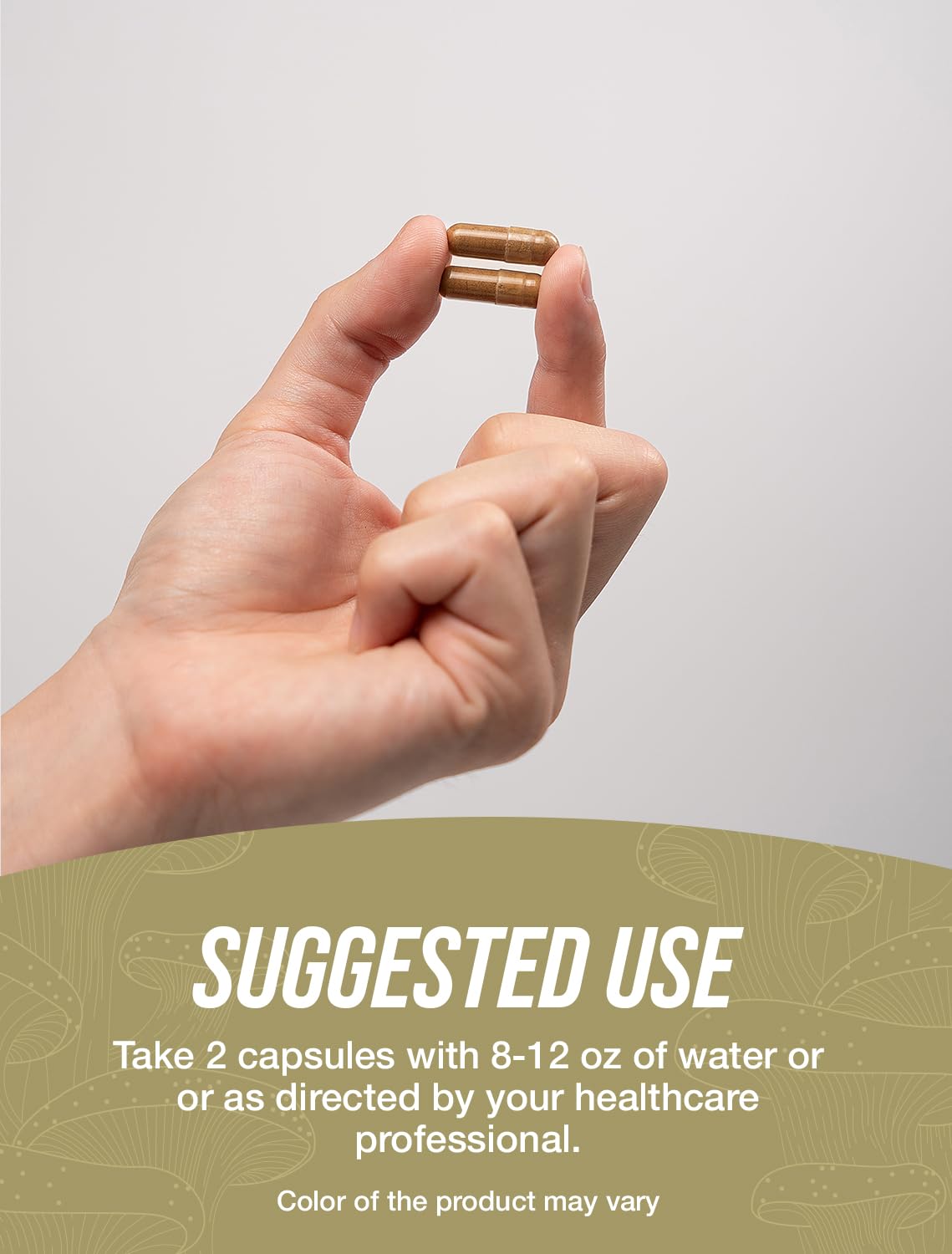 BulkSupplements Chaga Mushroom Extract Capsules with measuring scoop