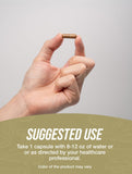 BulkSupplements White Button Mushroom Extract Capsules with dosage information