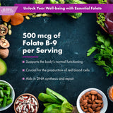 Buried Treasure Folate Drops 500 mcg B9 liquid supplement ingredients list