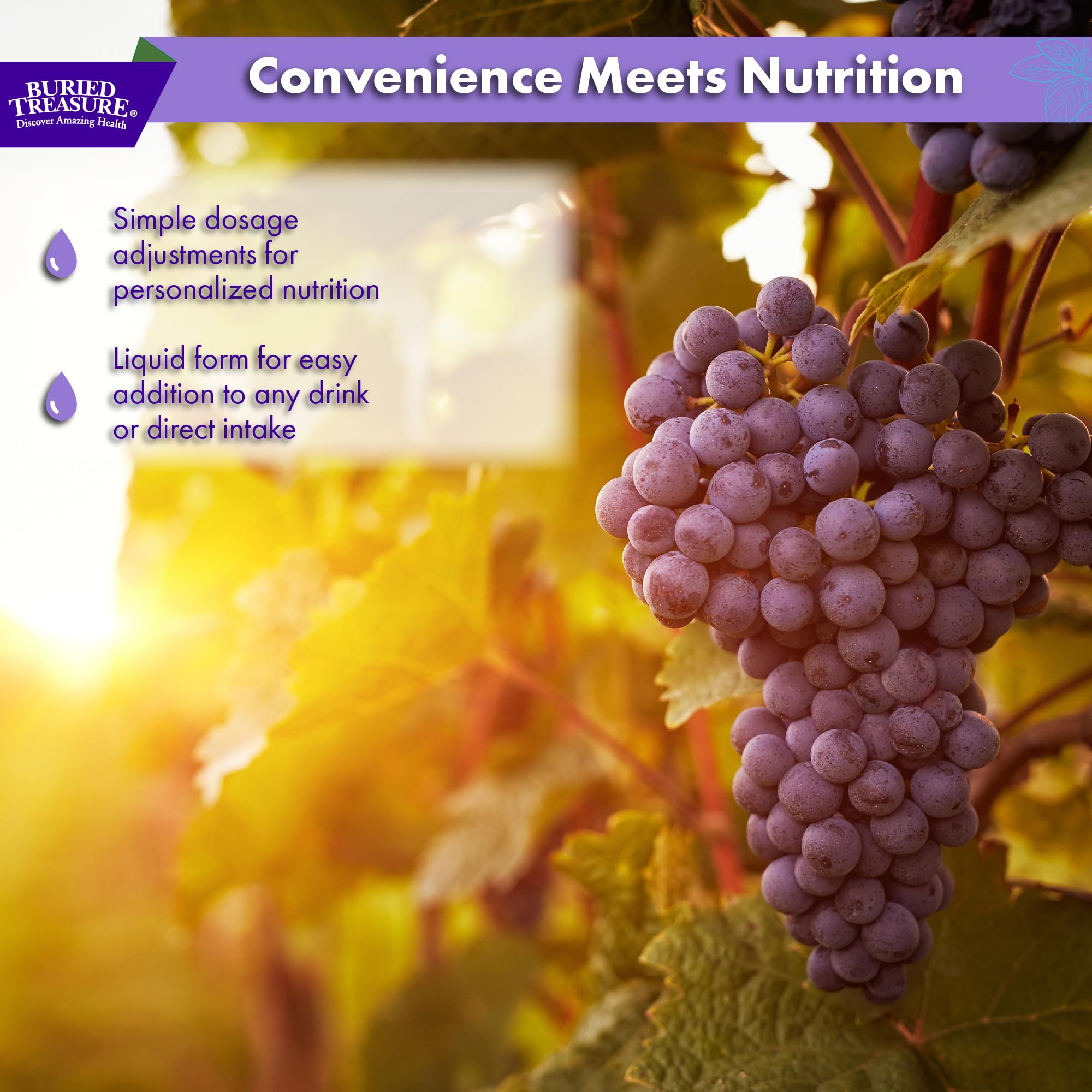 Buried Treasure Fulvic Minerals Grape Flavour ingredients list