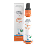 Buried Treasure Organic Ginger Drops 57g front view