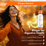 Buried Treasure Organic Ginger Drops 57g with ginger root