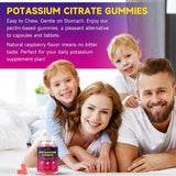 BVIVLOO Potassium Citrate Gummies back view with ingredient list