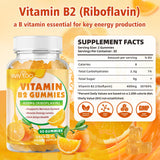 BVIVLOO Vitamin B2 Gummies packaging side view