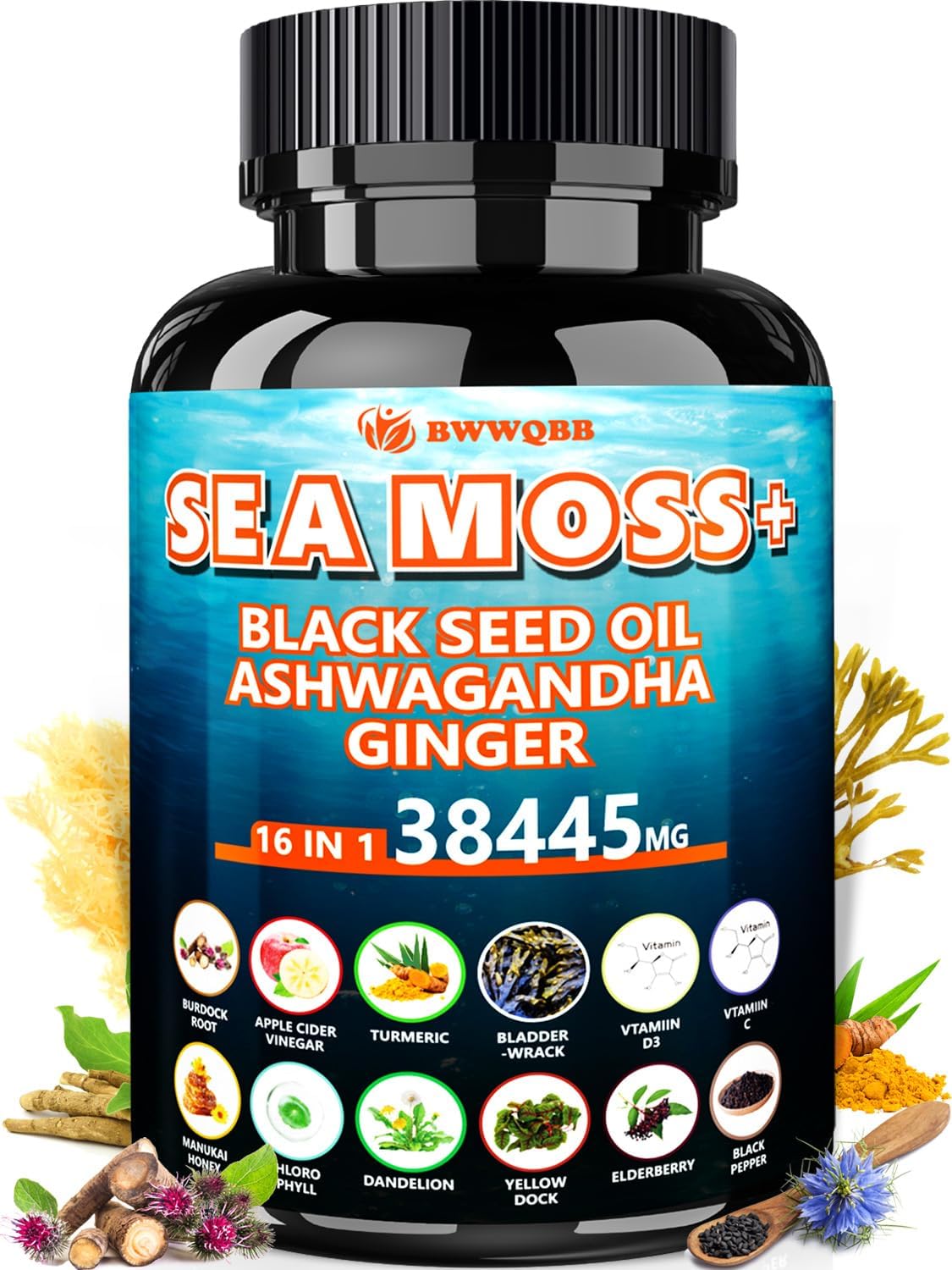 BWWQBB Ashwagandha Sea Moss Complex 120 capsules front view