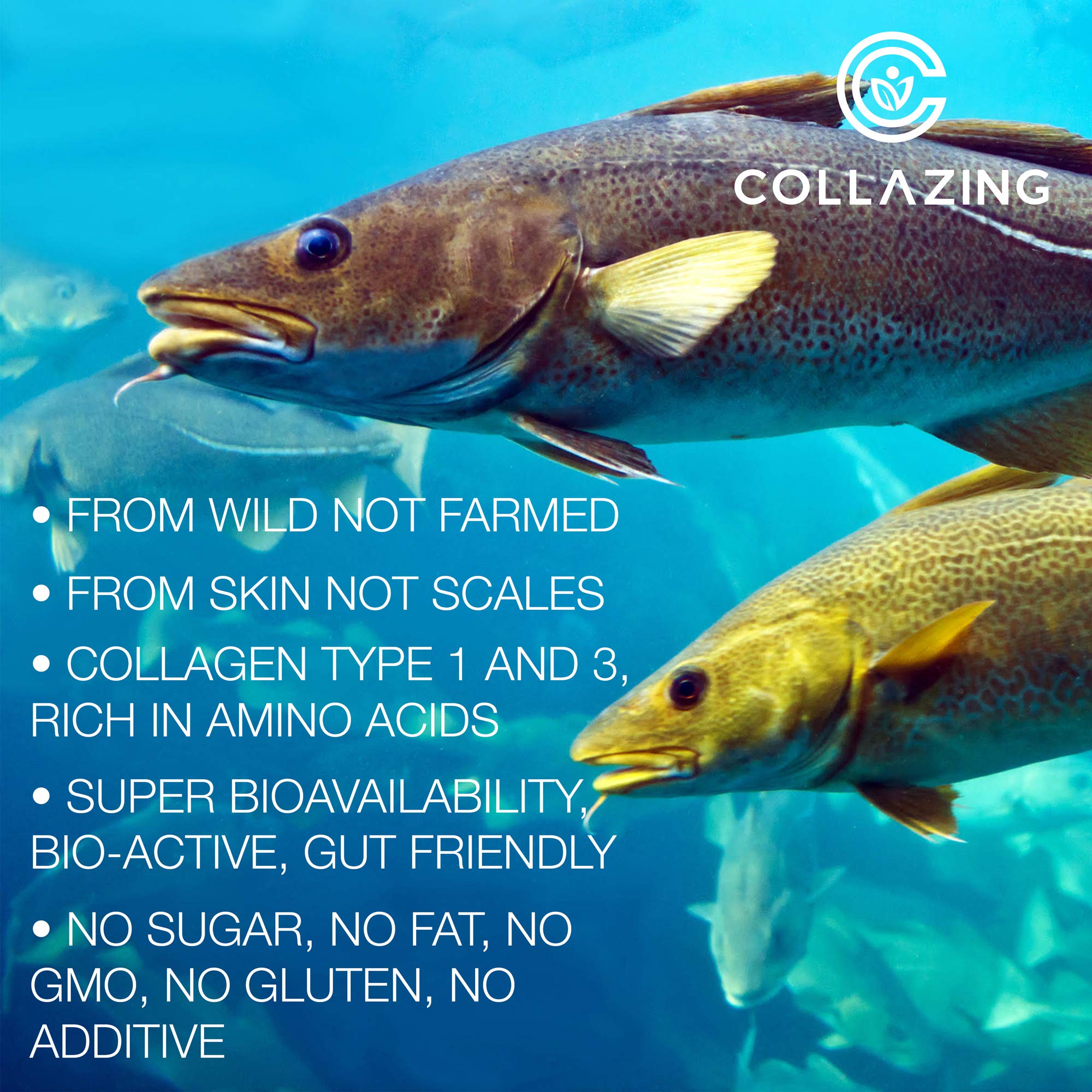 C COLLAZING Marine Collagen Capsules lifestyle scene with a glass of water