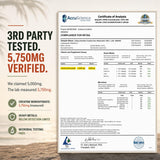 Cabana Nutrition Creatine Gummies back view with nutritional information