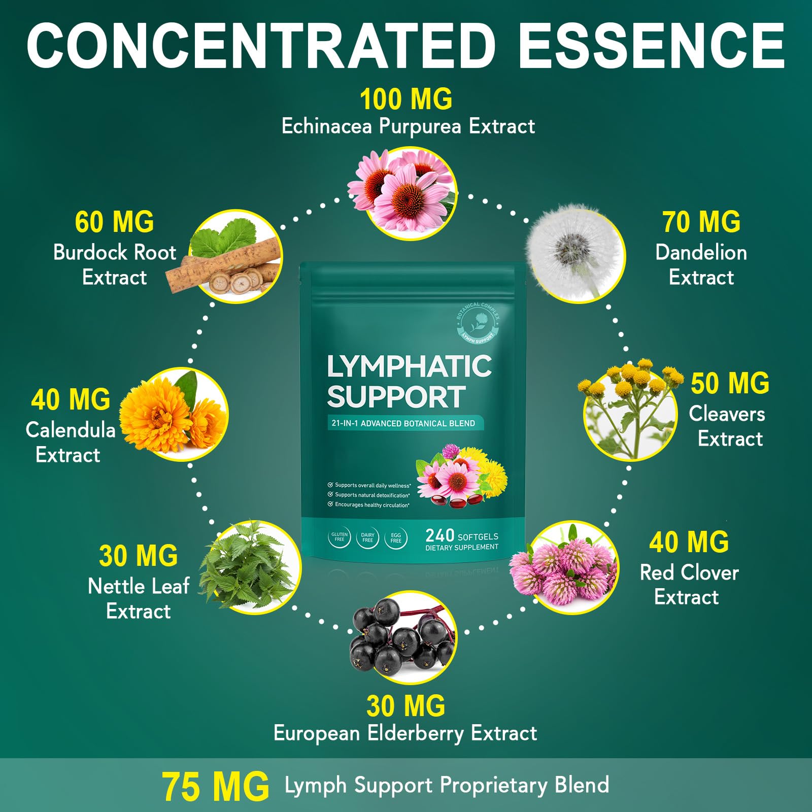 Cacukn Echinacea Lymphatic Support ingredients list