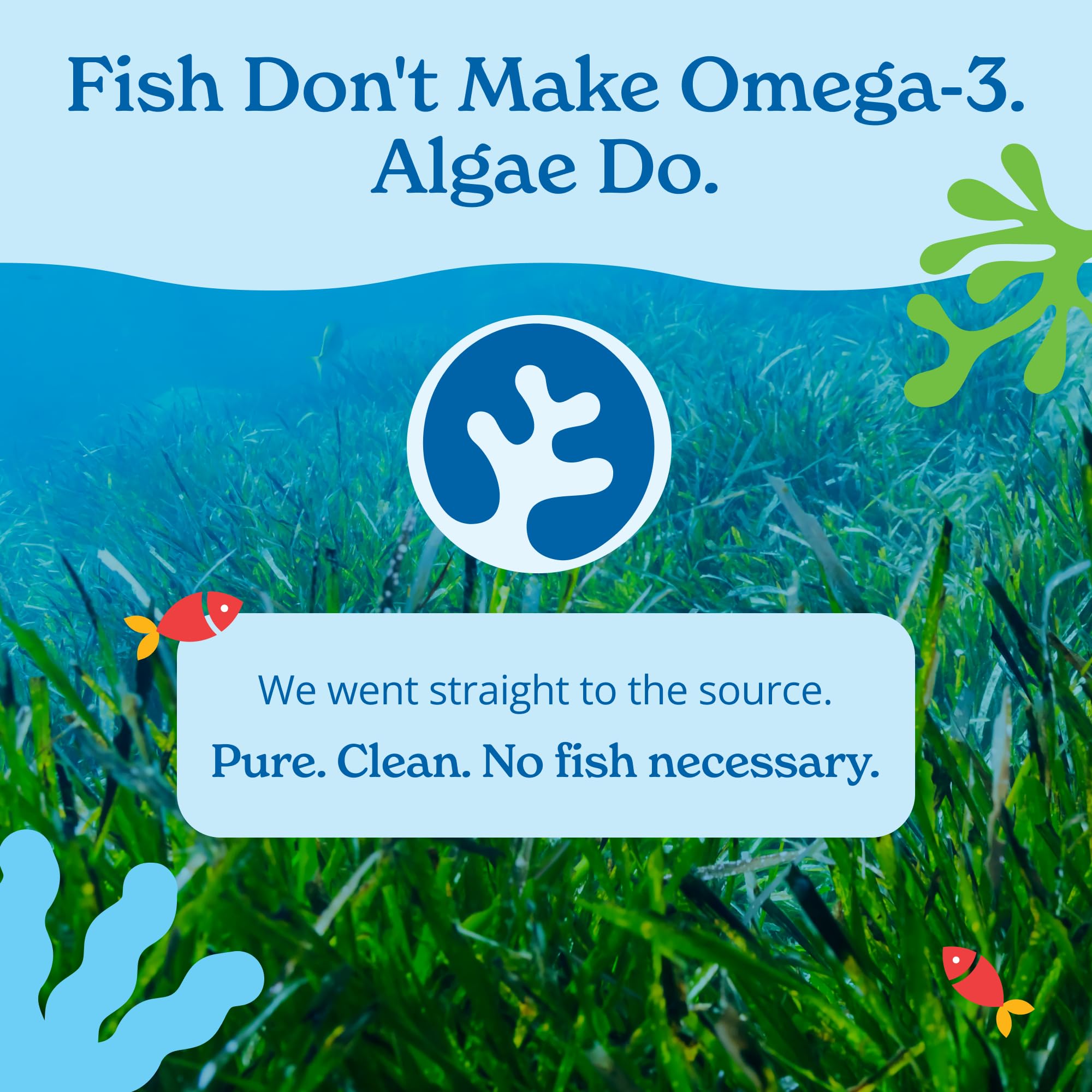 Calgee Omega-3 Algal Oil Softgels with ingredients list