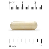 California Gold Nutrition Chondroitin Supplement packaging