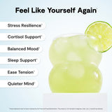 Calming Co. Ü daily wellness 2.0 Powder Drink Mix Lemon Lime stick pack