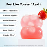 Calming Co. Ü daily wellness 2.0 Powder Drink Mix Mixed Berry stick packs