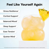 Calming Co. Ü daily wellness 2.0 Powder Drink Mix packaging with stick packs