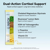 Calming Co. Ü daily wellness 2.0 Powder Drink Mix Pineapple flavour stick pack