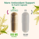 Capsule size comparison with hand