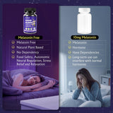 careleaf Sleep Gummies No Melatonin natural berry flavour