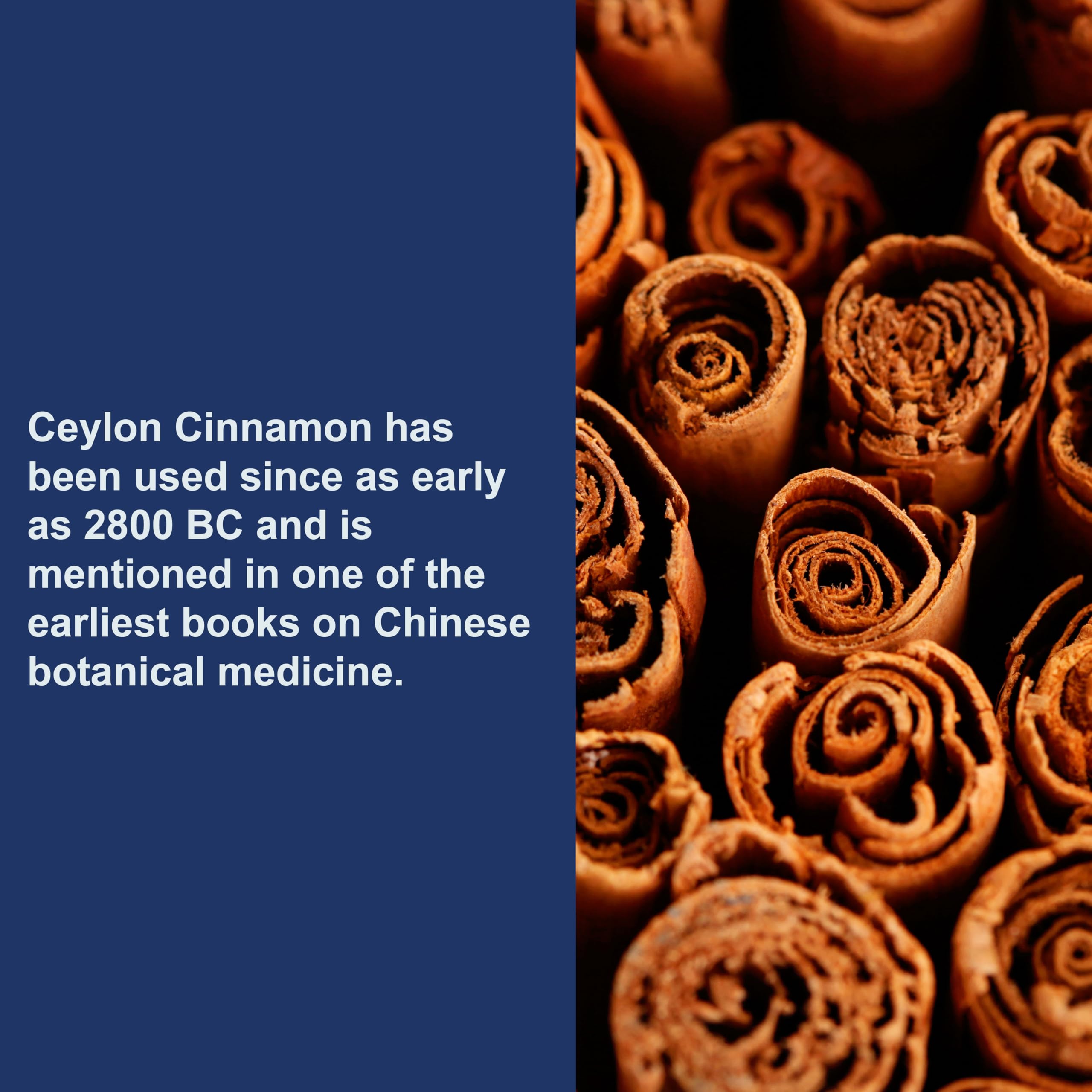 Carlson Ceylon Cinnamon Capsules with fresh cinnamon sticks