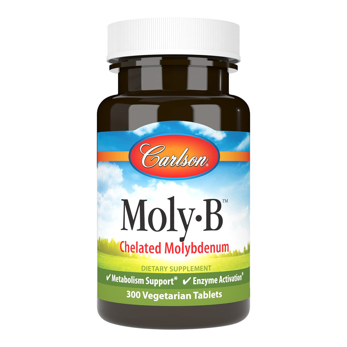 Carlson Multi-Enzymes 82g front view with packaging