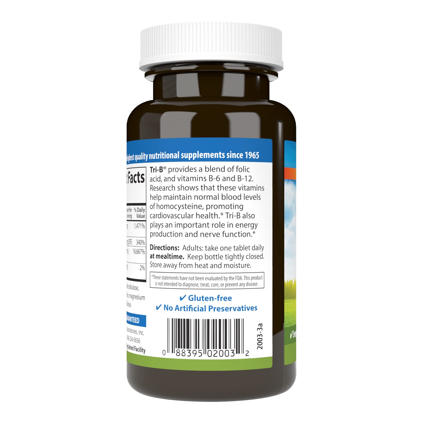 Carlson Tri-B Vitamin B12 & B6 Supplement 150g tablet close-up