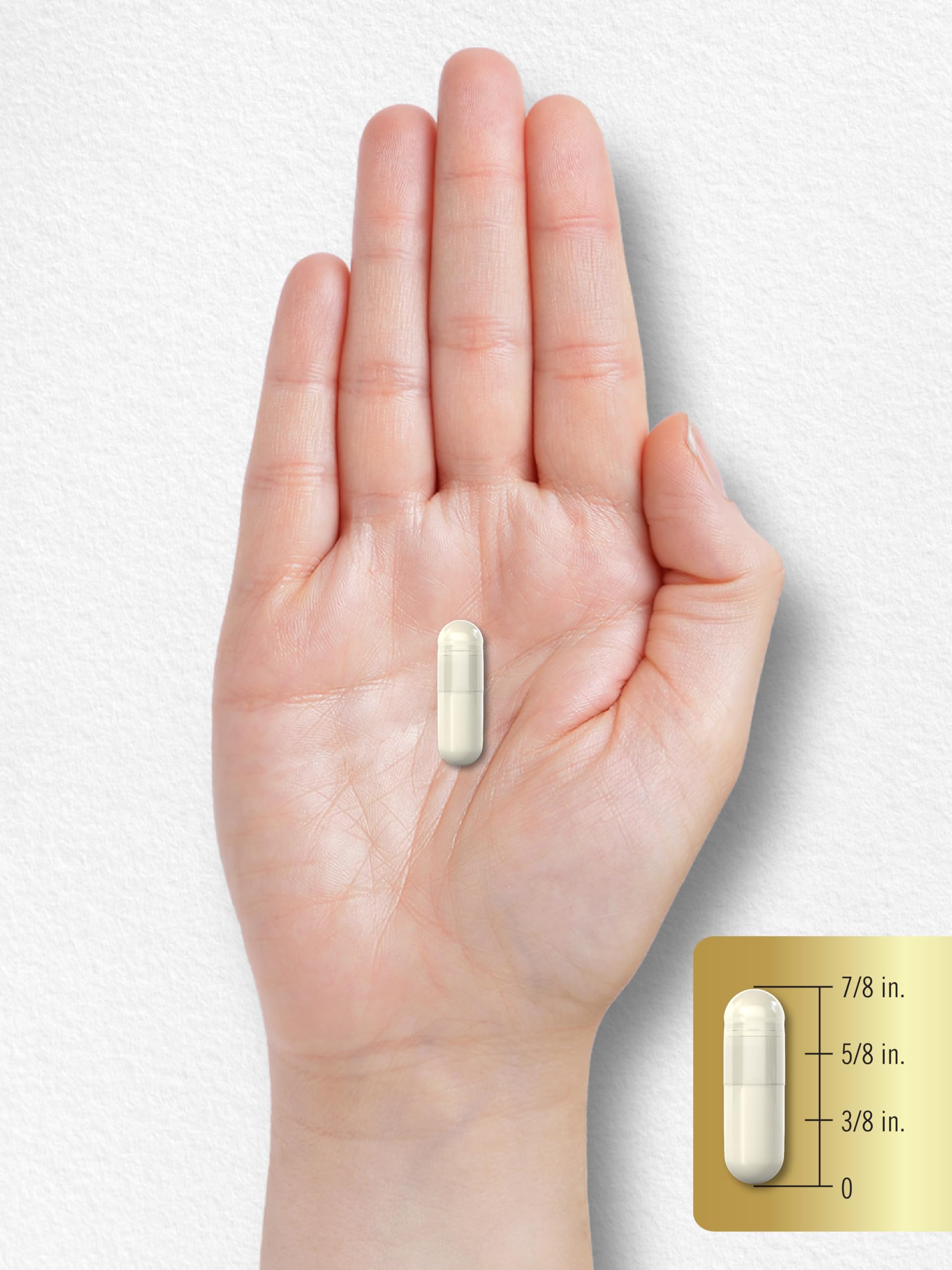 Carlyle Acetyl L-Carnitine 500mg capsules displayed with other supplements