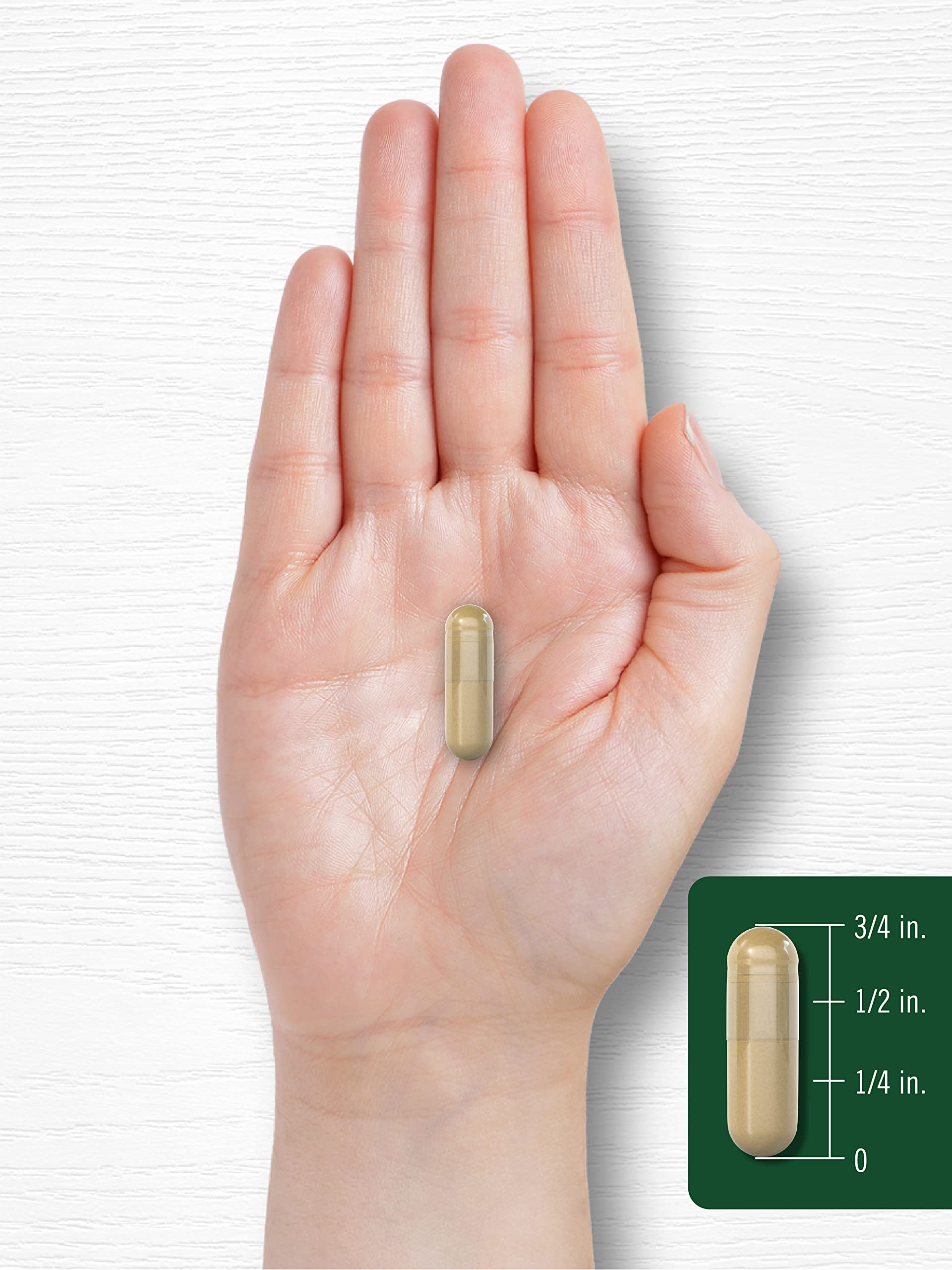 Carlyle Asparagus Extract Supplement capsule detail