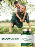 Carlyle Asparagus Extract Supplement packaging dimensions