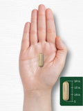 Carlyle Bacopa Monnieri Extract 500mg capsules in natural setting