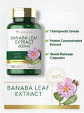 Carlyle Banaba Leaf Supplement packaging dimensions