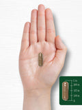 Carlyle Cat's Claw capsules in a lifestyle setting