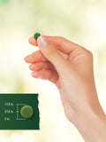 Carlyle Chlorella Tablets 250mg lifestyle scene