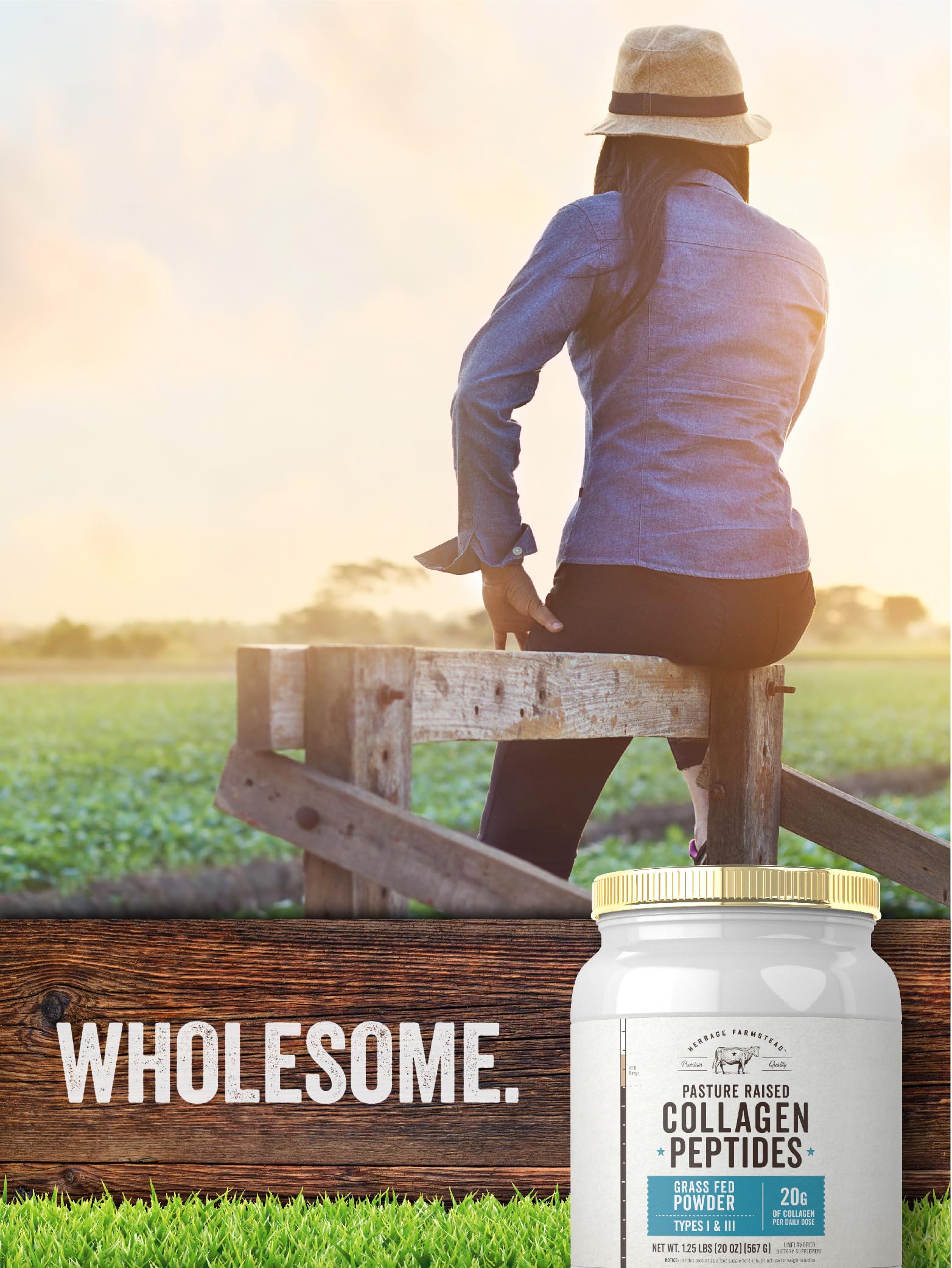 Carlyle Collagen Peptides Powder on kitchen counter