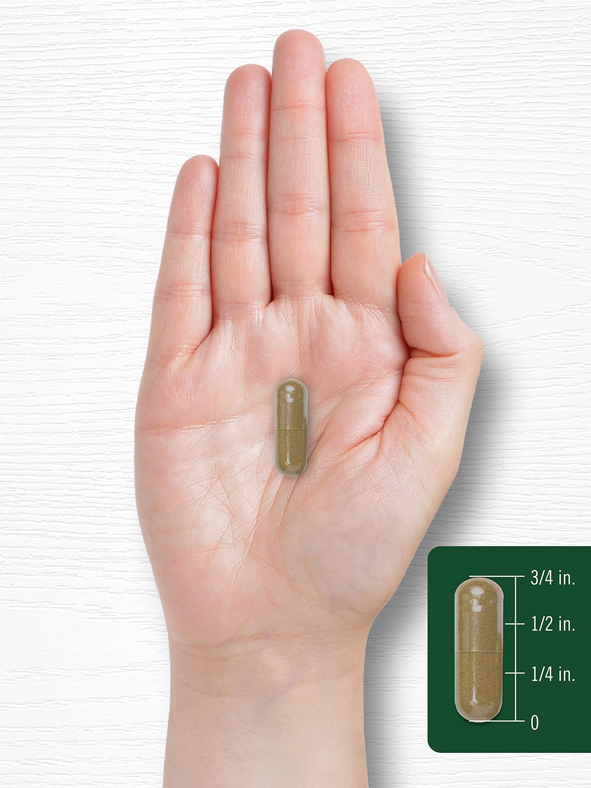 Carlyle Dandelion Root Capsules 1000mg lifestyle scene