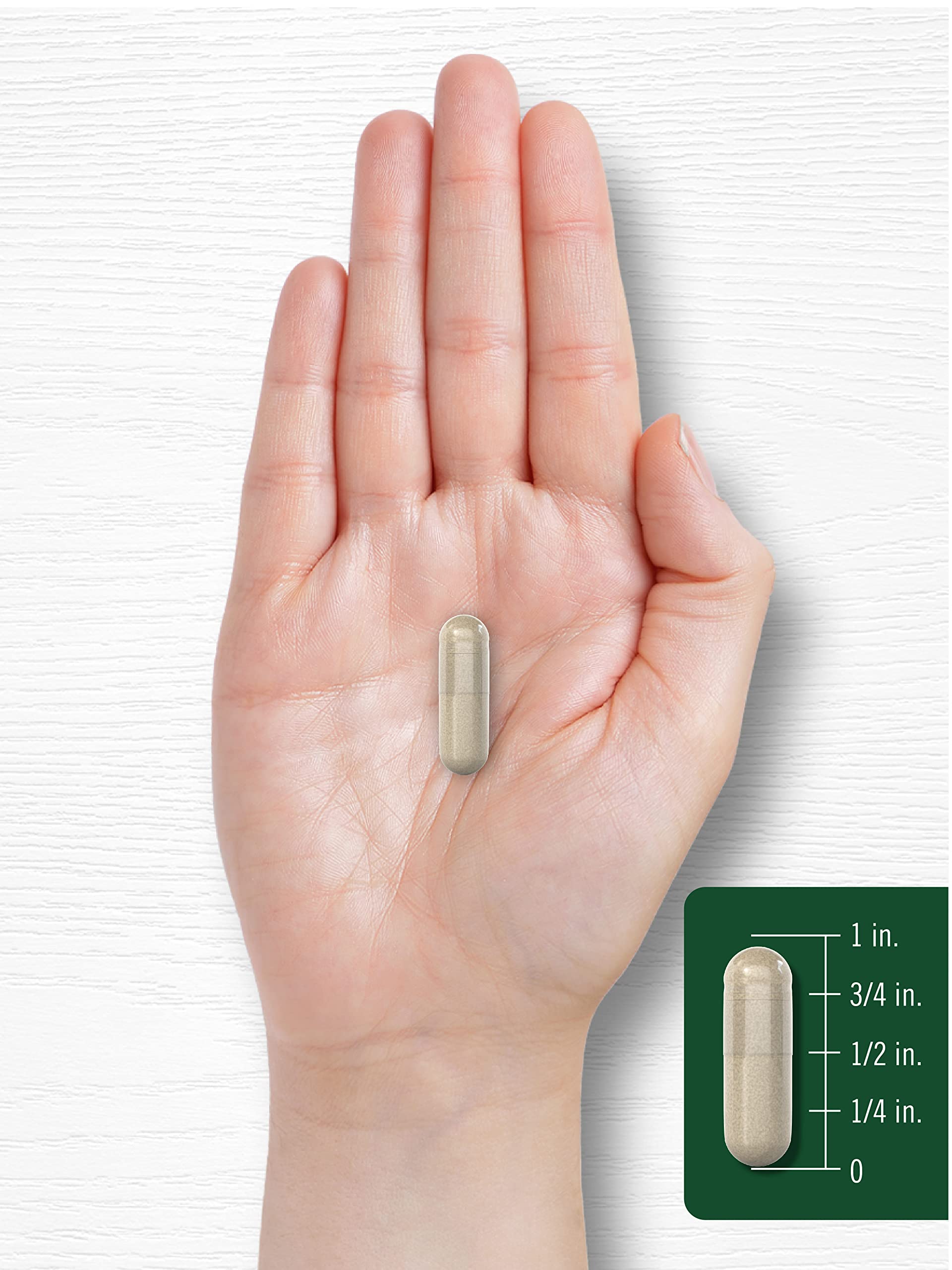 Carlyle Horsetail Extract 500mg capsules close-up