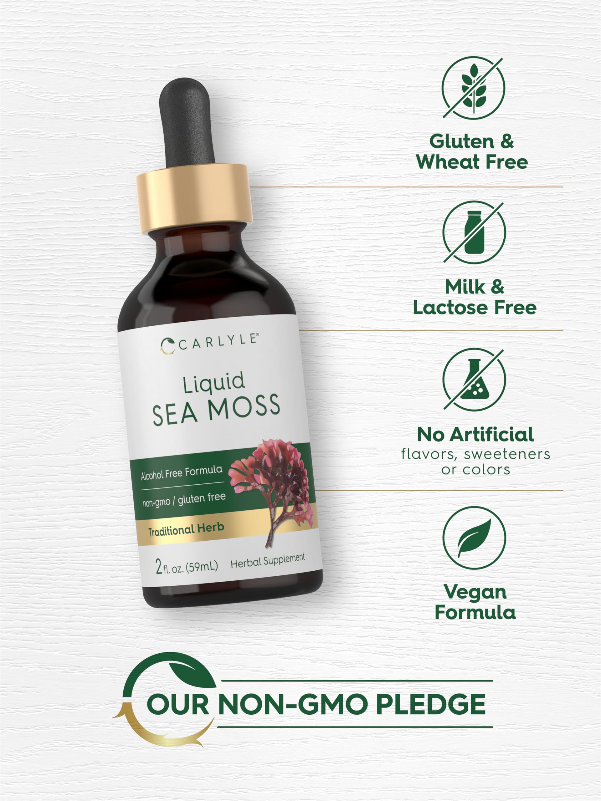 Carlyle Irish Sea Moss Herbal Supplement 141g back view