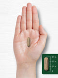 Carlyle Milk Thistle Seed Extract on a wooden table