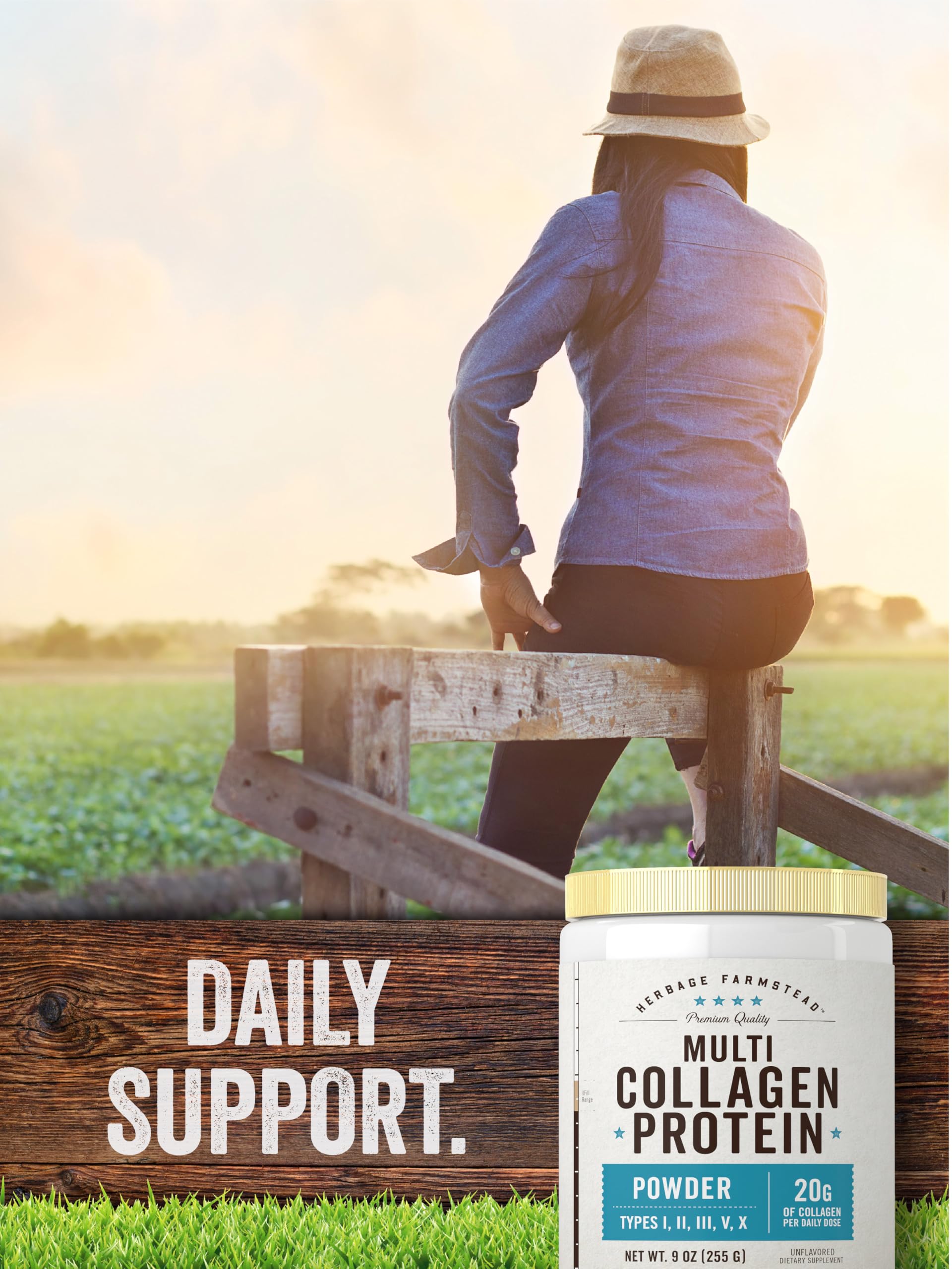 Carlyle Multi Collagen Protein Powder on a kitchen counter
