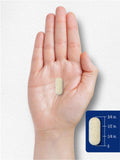 Carlyle Multi-Enzymes Pancreatin 500mg back of packaging