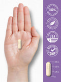 Carlyle Probiotic Formula 10 Billion CFUs with a glass of water