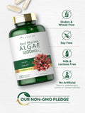 Carlyle Red Marine Algae capsules in hand