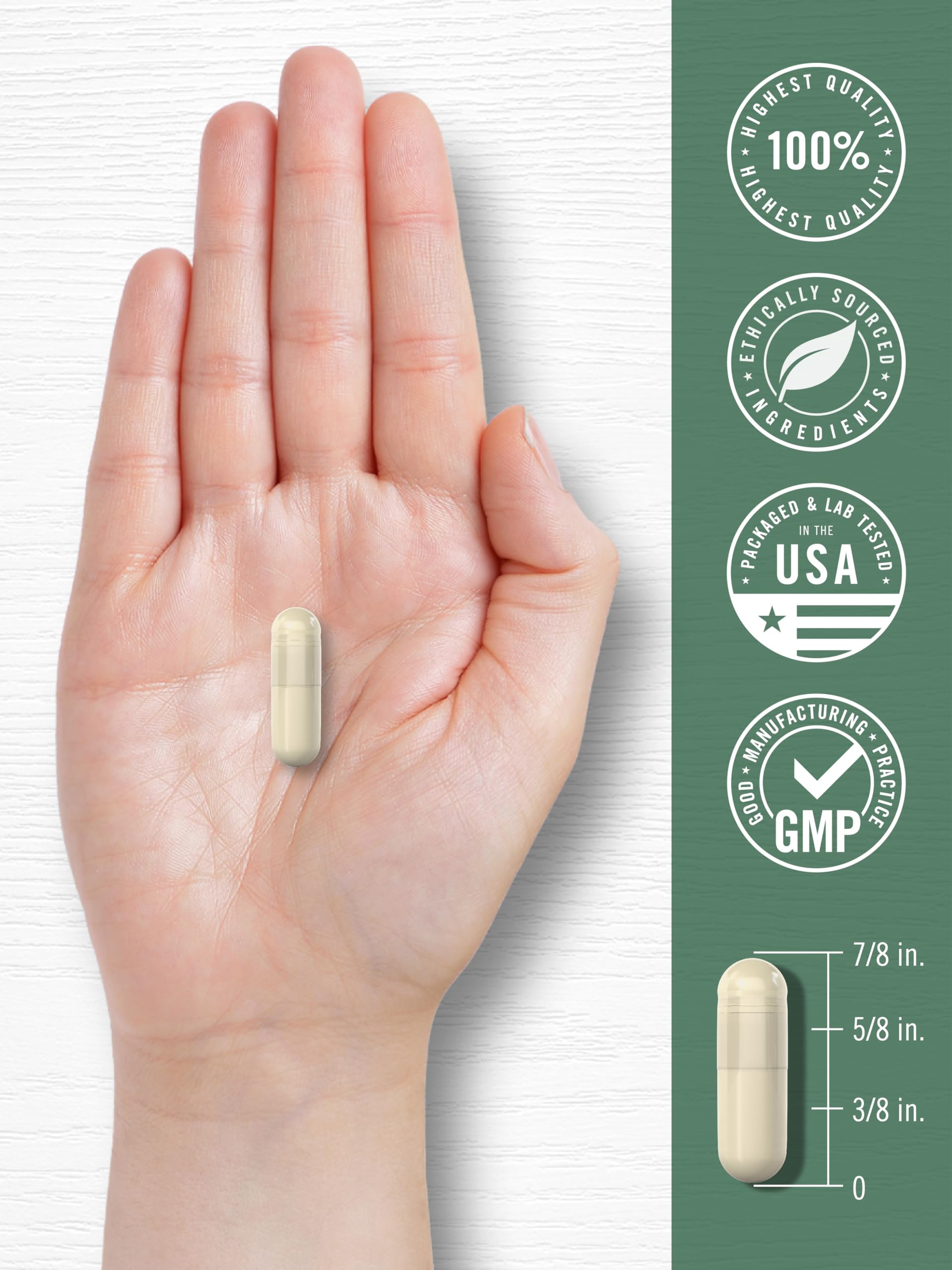Carlyle Red Marine Algae vegetarian capsules with measuring spoon