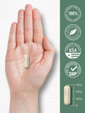 Carlyle Red Marine Algae vegetarian capsules with measuring spoon